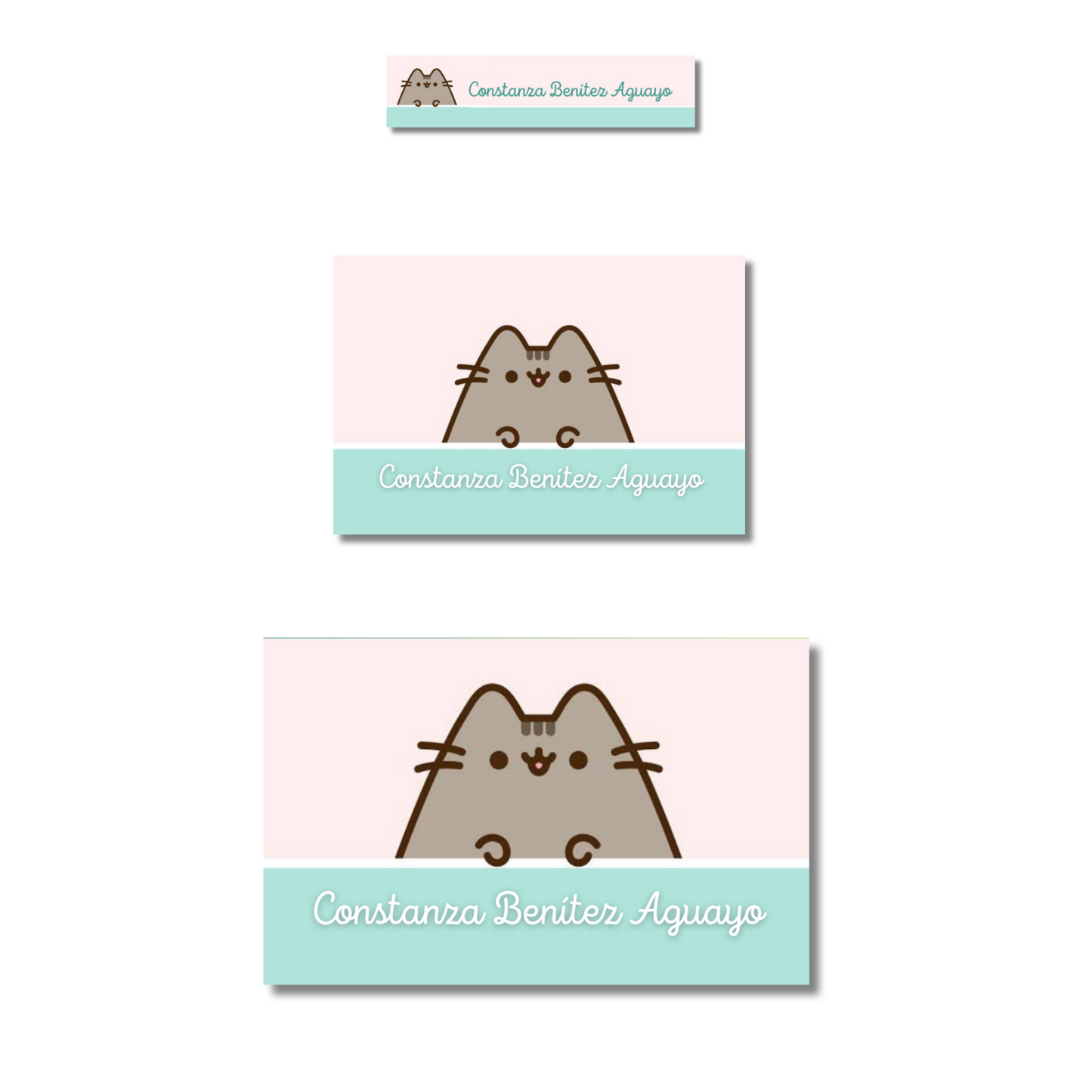 Pusheen Etiquetas Escolares Personalizadas Libretas, Libros y Lápices