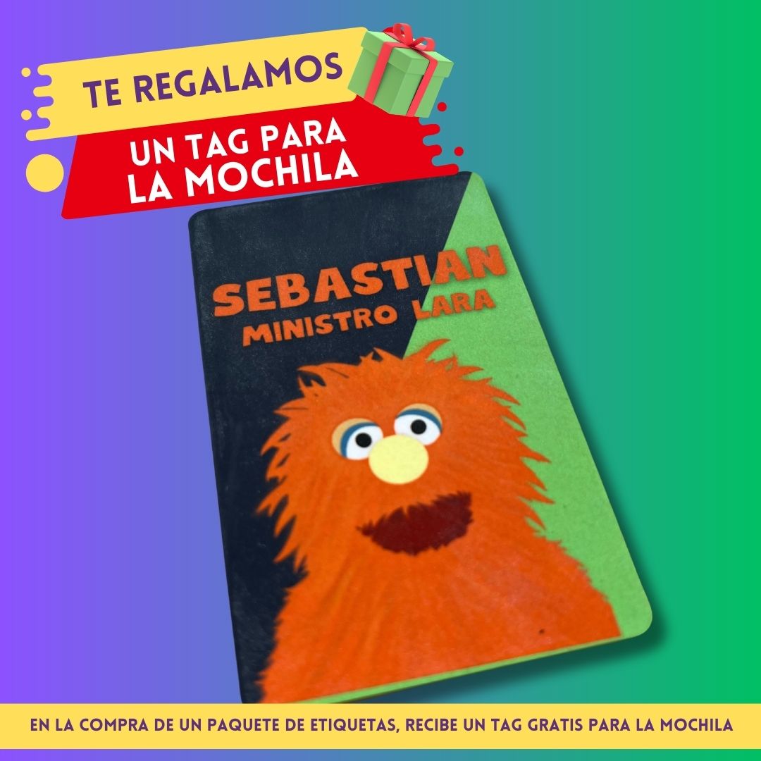 Toy Story Woody Con Buzz Etiquetas Escolares Personalizadas Libretas, Libros y Lápices